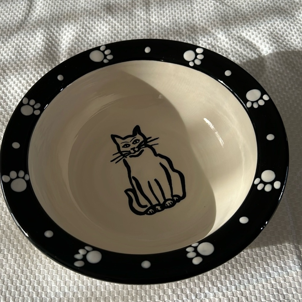 Gorgeous bowl brand new never used